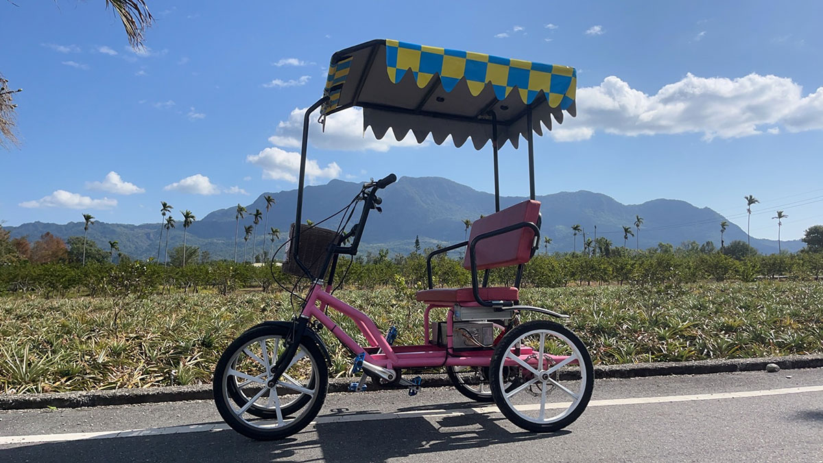 雙人電動遊園車 Lovers' Surrey Bike (with electric motor)